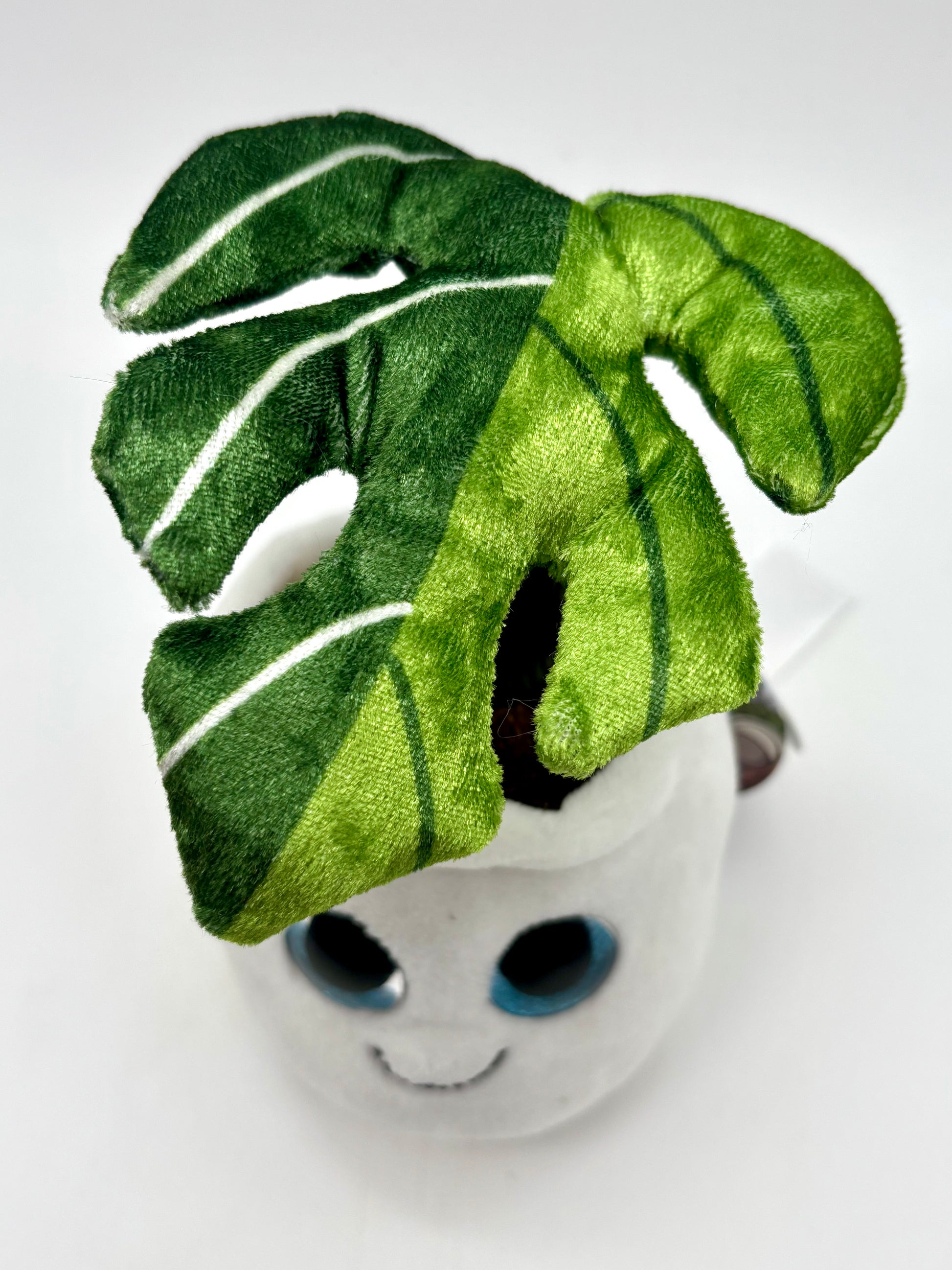 Plüsch Monstera